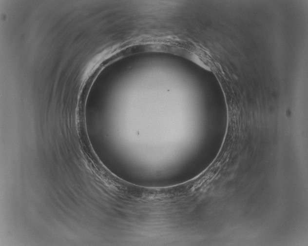 X0000067340340200604131731