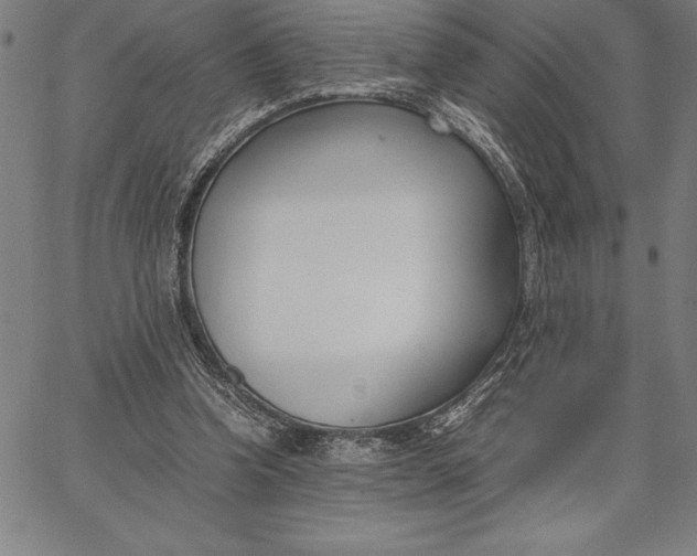 X0000067340346200604131731