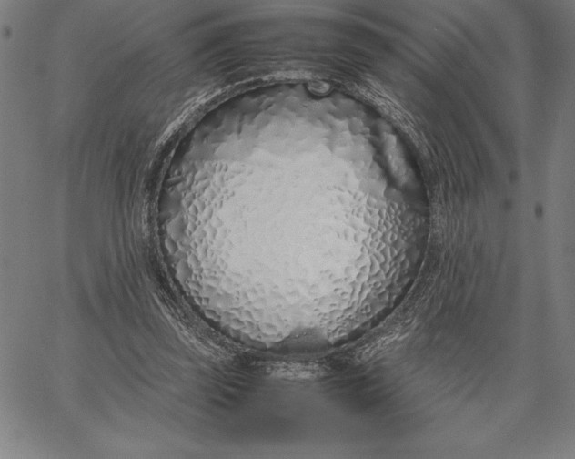 X0000067340347200604131731