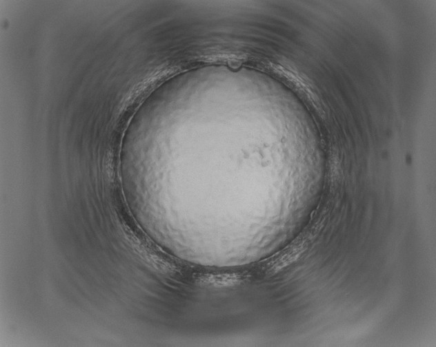 X0000067340353200604131731