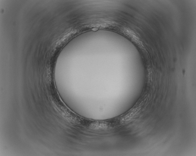 X0000067340354200604131731