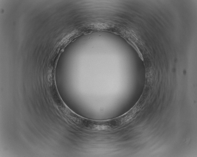 X0000067340360200604131731