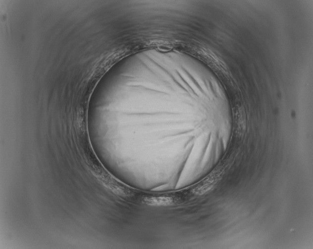 X0000067340361200604131731
