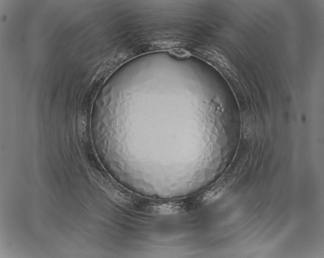 X0000067340365200604131731