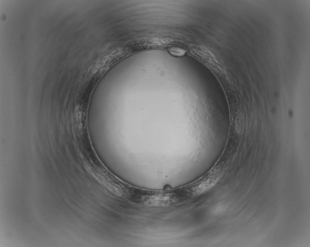 X0000067340366200604131731