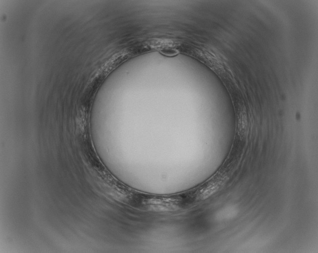 X0000067340367200604131731