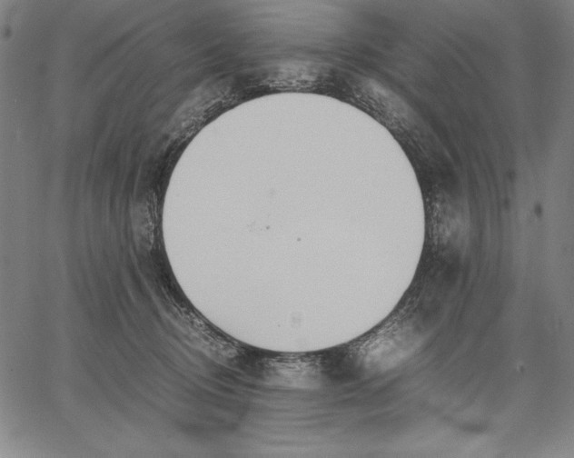 X0000067340370200604131731