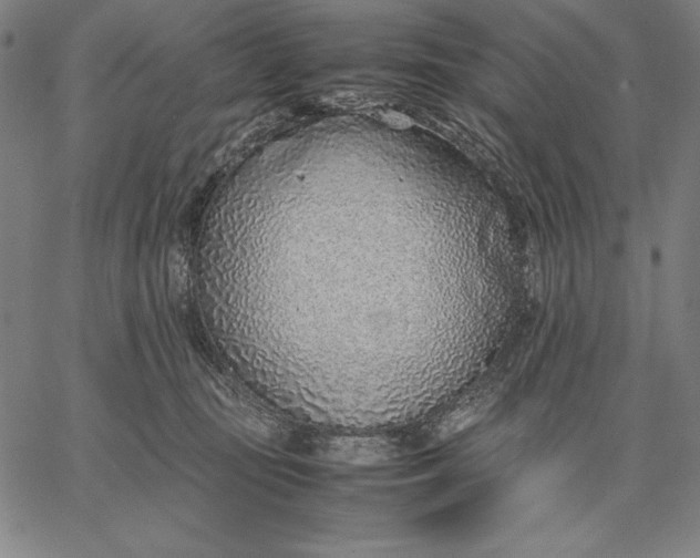 X0000067340371200604131732