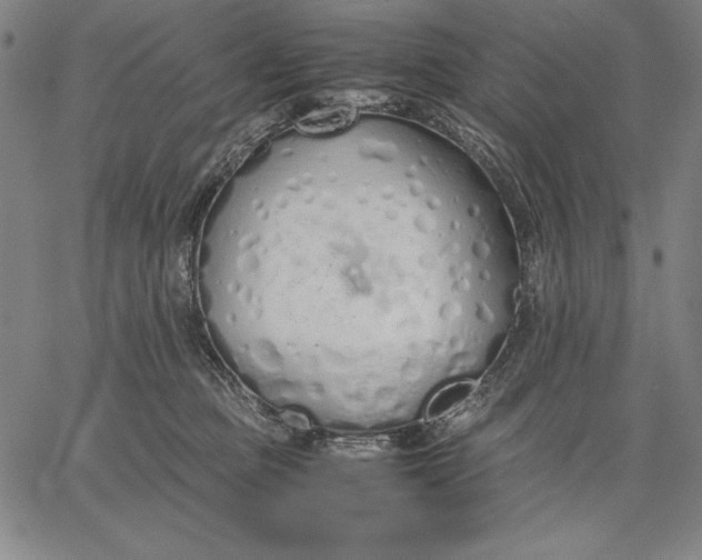 X0000067340373200604131732