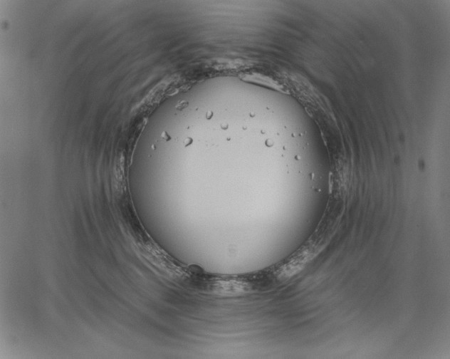 X0000067340376200604131732