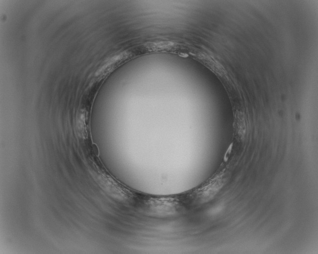 X0000067340378200604131732