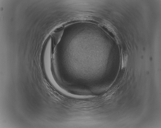 X0000067340387200604131731