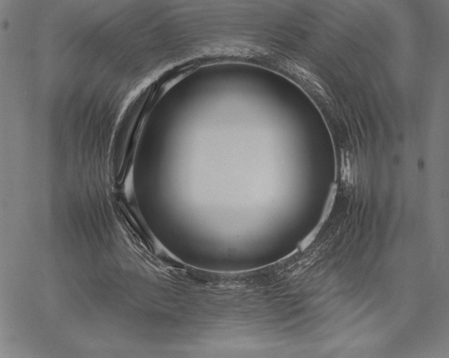 X0000067340388200604131731