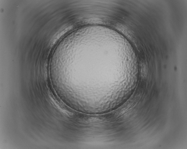 X0000067340390200604131731