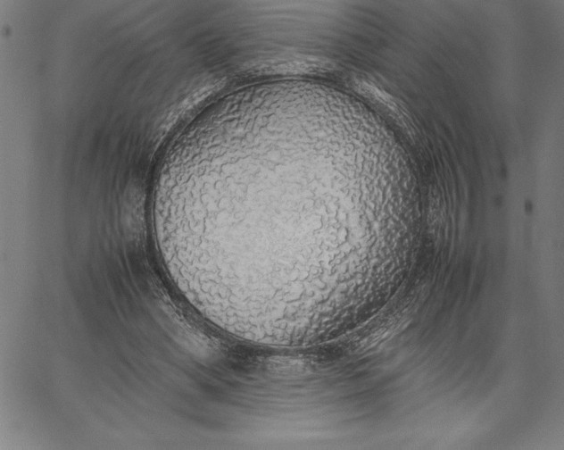 X0000067340394200604131731