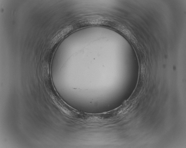 X0000067340397200604131731
