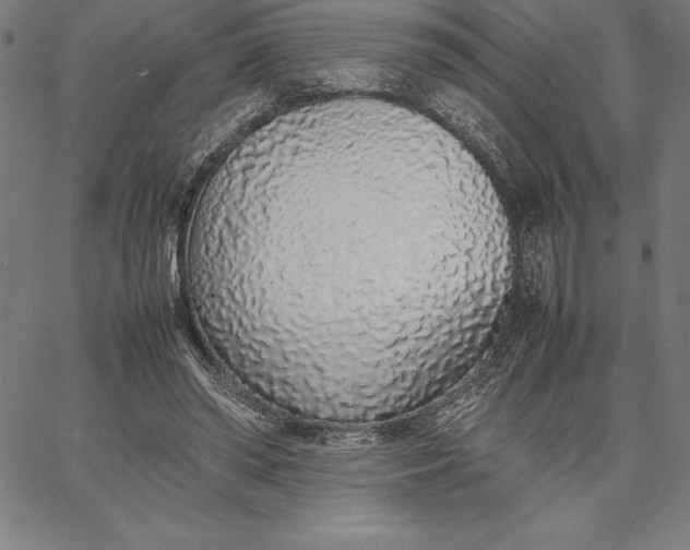 X0000067340398200604131731