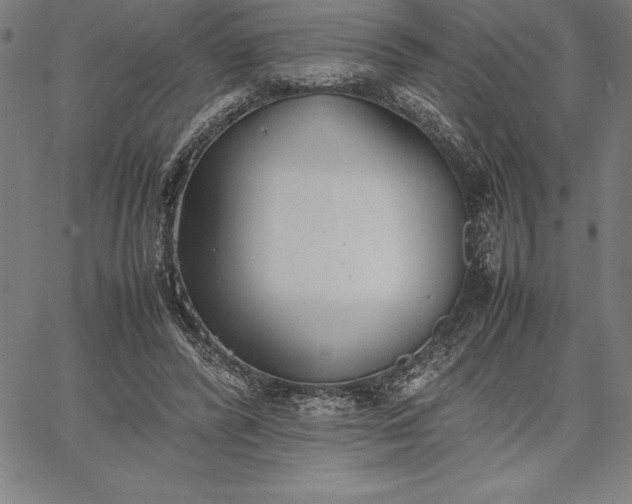 X0000067340400200604131731