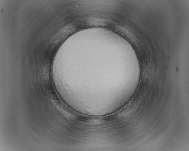 X0000067340402200604131731