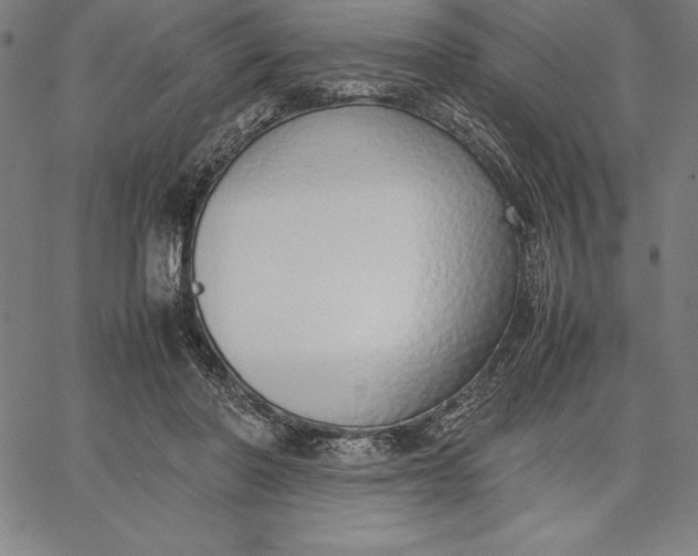 X0000067340406200604131731