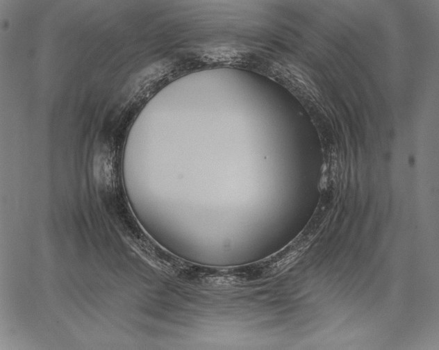 X0000067340408200604131731