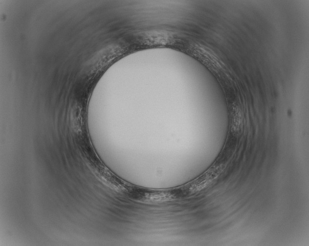 X0000067340414200604131730
