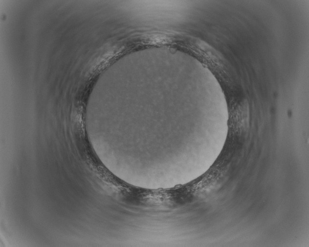 X0000067340415200604131730