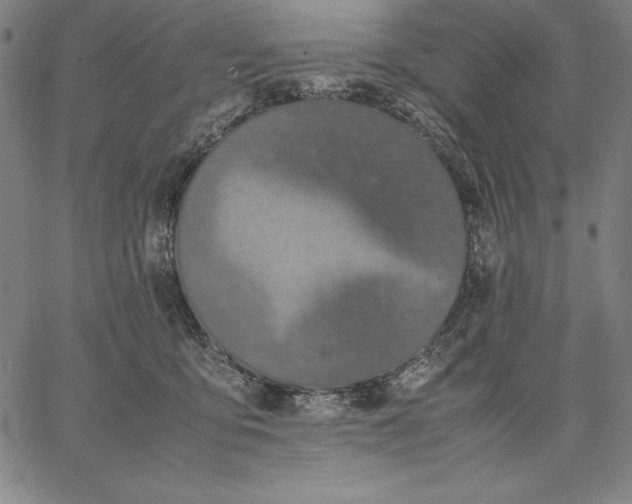 X0000067340419200604131730