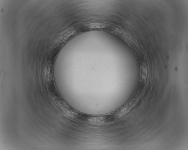 X0000067340422200604131730