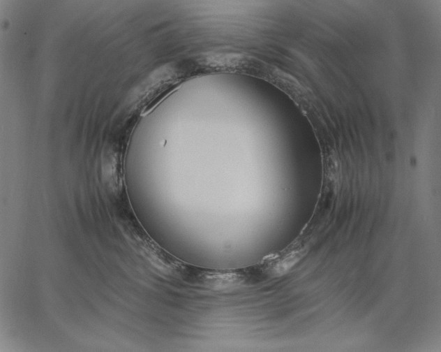 X0000067340428200604131730