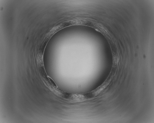 X0000067340429200604131730