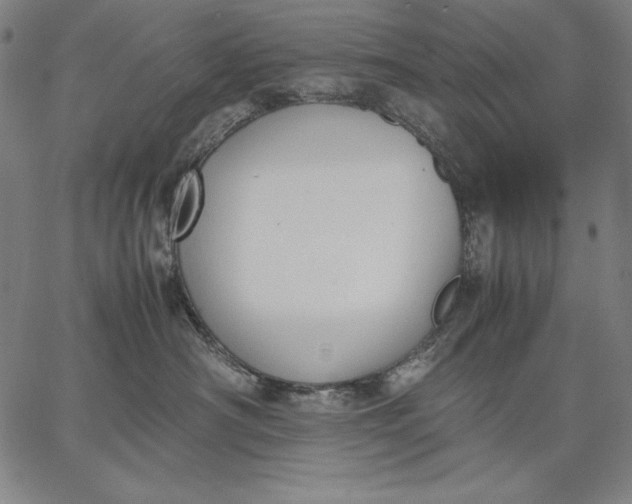 X0000067340430200604131730