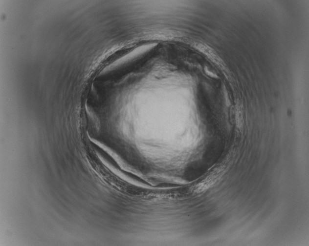 X0000067340434200604131729