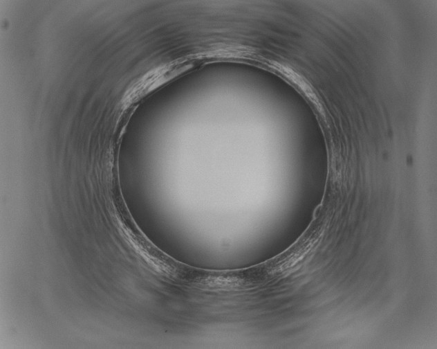 X0000067340437200604131729
