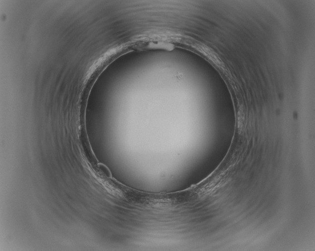 X0000067340438200604131729