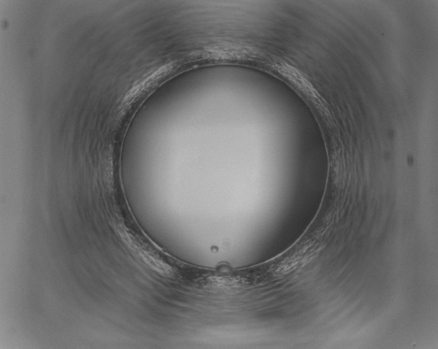 X0000067340442200604131730
