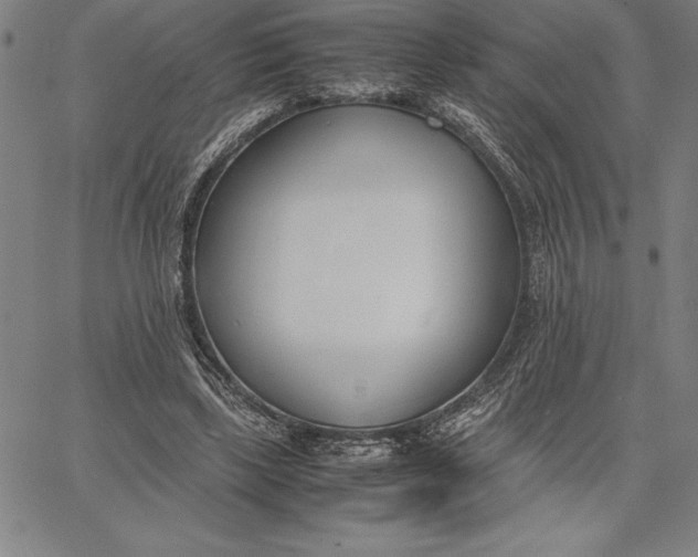 X0000067340443200604131730