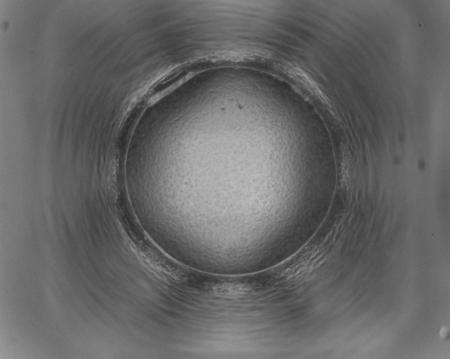 X0000067340444200604131730
