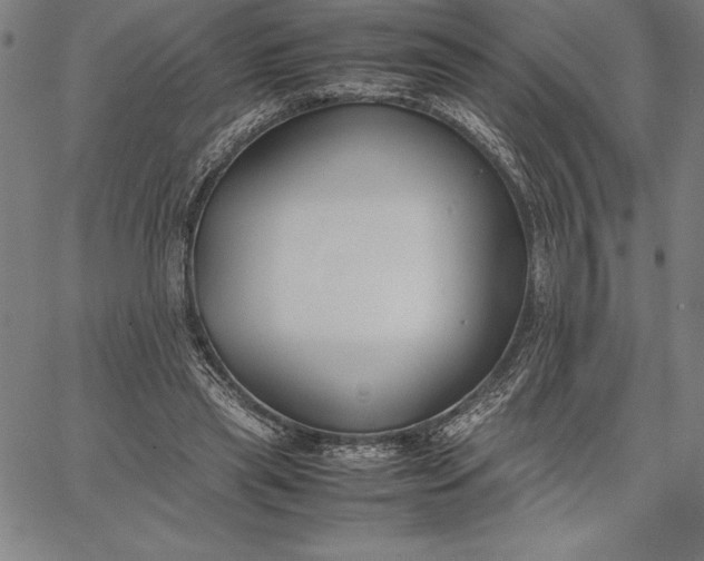 X0000067340445200604131730