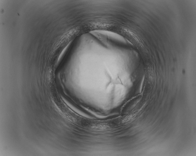 X0000067340451200604131730