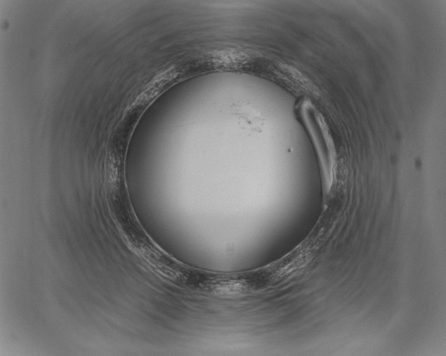 X0000067340456200604131730