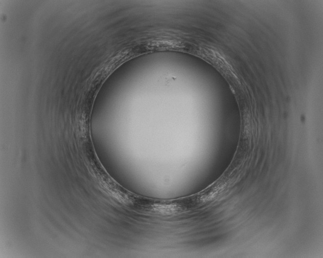 X0000067340457200604131730