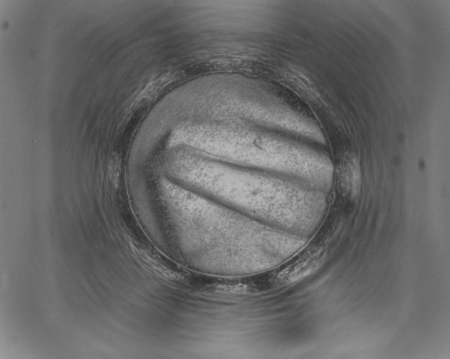 X0000067340458200604131730
