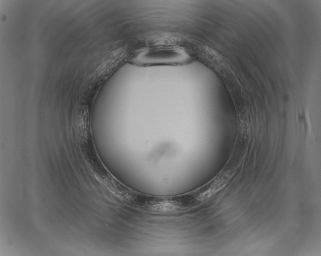X0000067340460200604131730