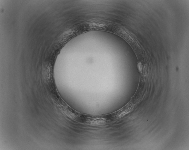 X0000067340463200604131730