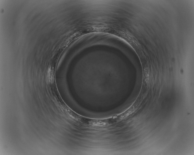 X0000067340471200604131730
