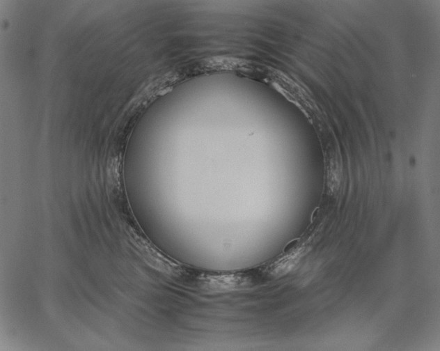 X0000067340473200604131730