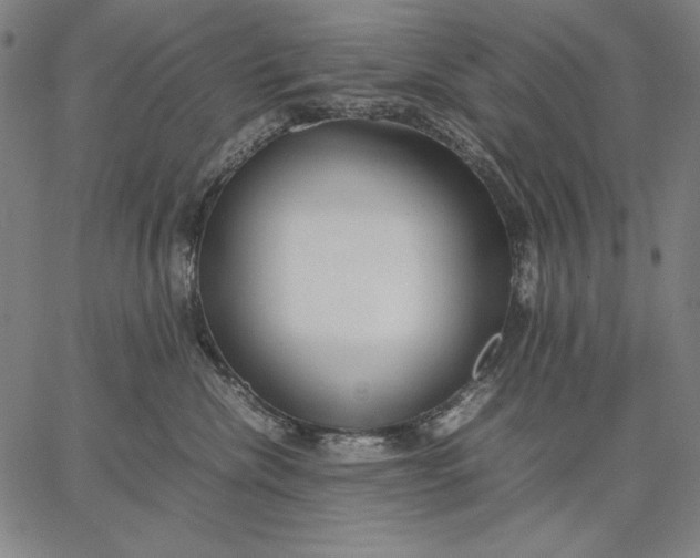 X0000067340476200604131730