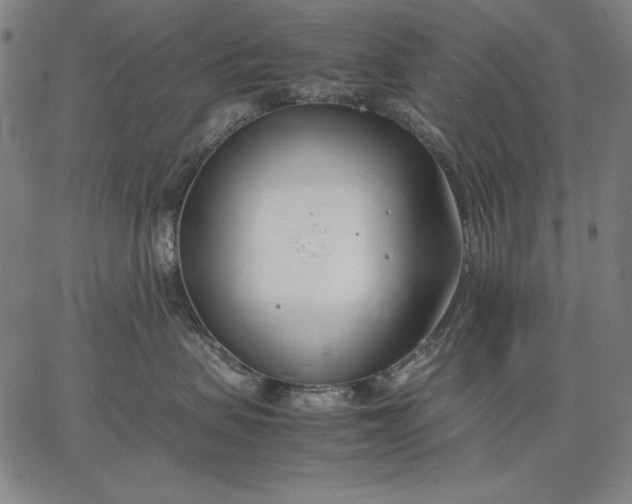 X0000067340479200604131730