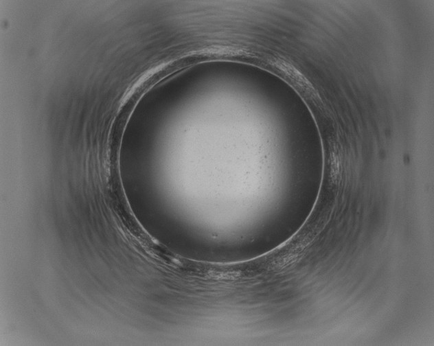 X0000067340484200604131729